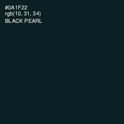 #0A1F22 - Black Pearl Color Image